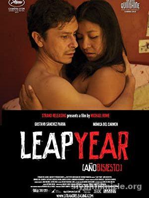 Artık Yıl (Leap Year) 2010 Filmi Türkçe Altyazılı 720p izle